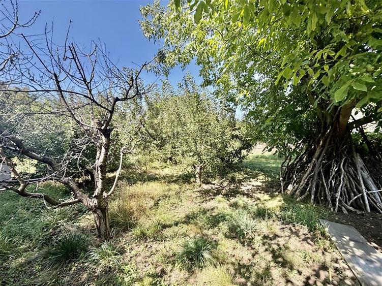 Casă individuală cu 3 camere cu Teren 990 Mp în Miroslava