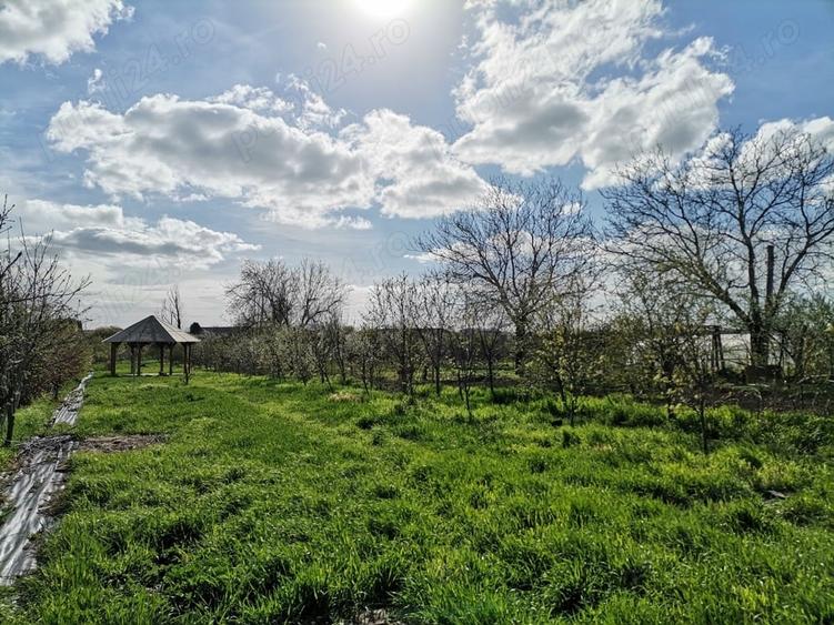 Teren de 2310 mp, în Aradul Nou