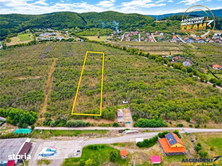 Teren de 6510 mp, în Ilieni