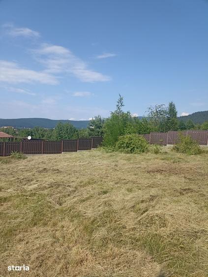 Teren de 1000 mp, în Central