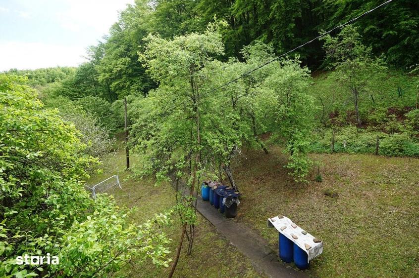 Casă cu 4 camere cu Teren 4891 Mp în Sava
