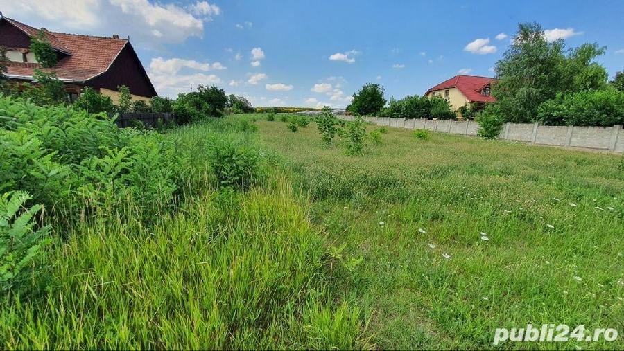 Teren de 1000 mp, în Central