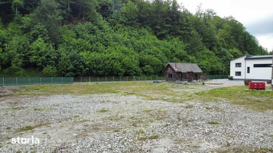 Teren intravilan 4000mp ideal investitii in apropiere de Colibita - 5