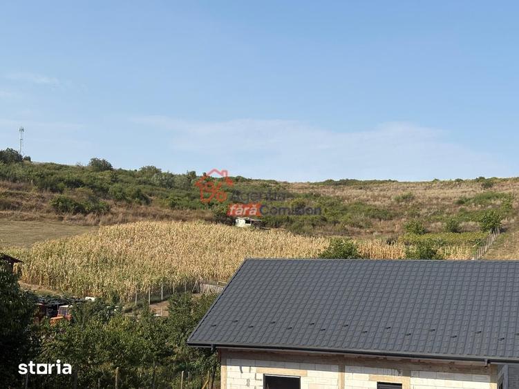 Teren de 19000 mp, în Aroneanu
