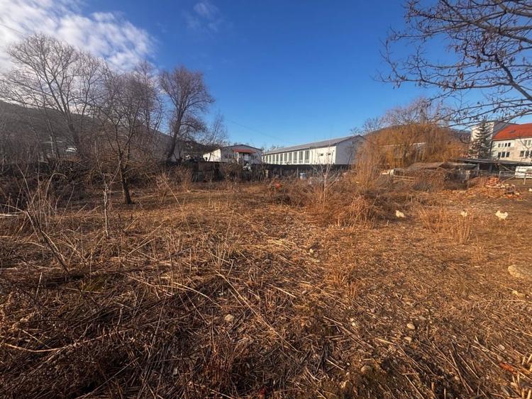 Teren Construcții intravilan de 2600 mp, în Viișoara