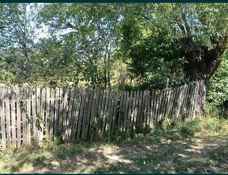 Teren de 1456 mp, în Stâlpeni