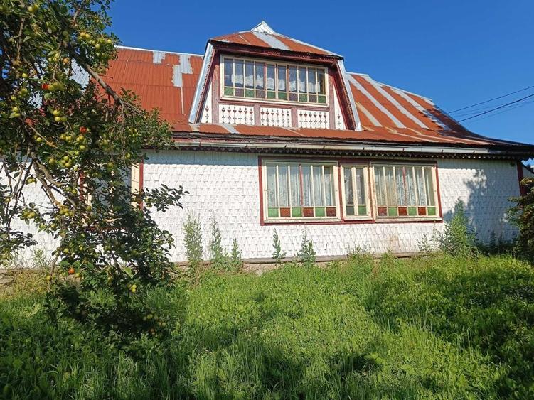 Teren intravilan in Poiana Stampei, 3900 mp - 6