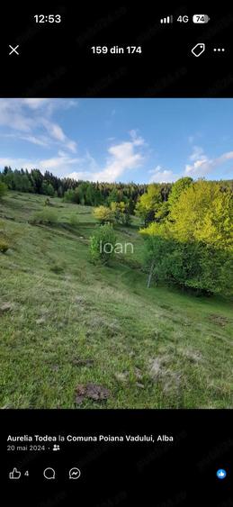 De vanzare-Teren 5 hectare in inima muntilor apuseni!