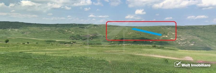 Teren agricol extravilan de 11600 mp, în Feiurdeni