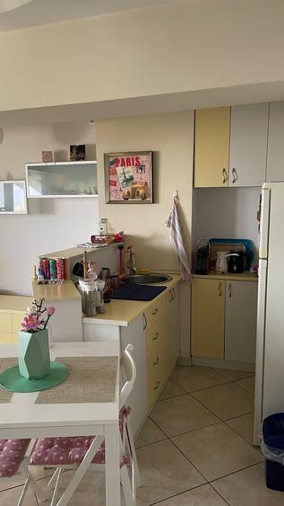 Apartament 2 camere luminos – Calea Plevnei- Facultatea de Medicină Carol Davila - 21