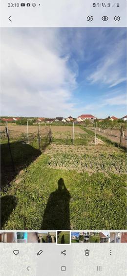 Casă cu Teren 17 Mp în Ardud