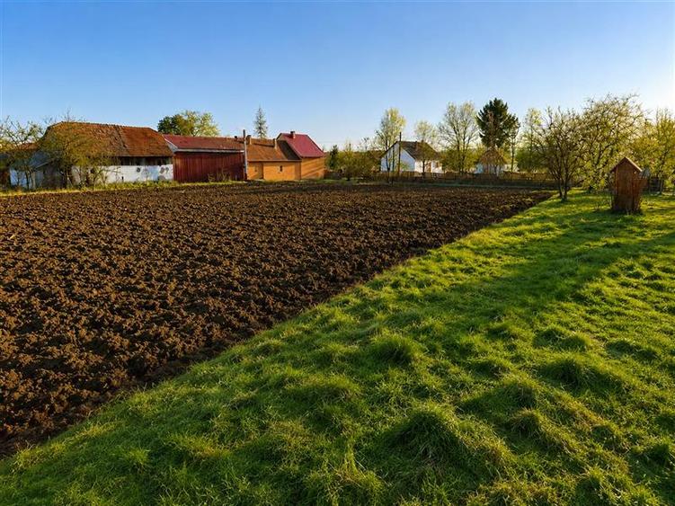 Teren Construcții intravilan de 4554 mp, în Exterior Est