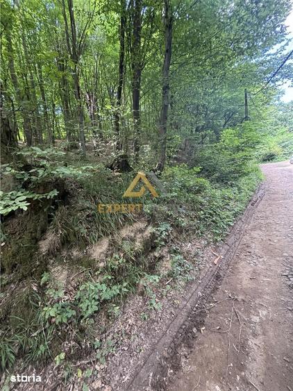 Teren de 1900 mp, în Valea Borcutului