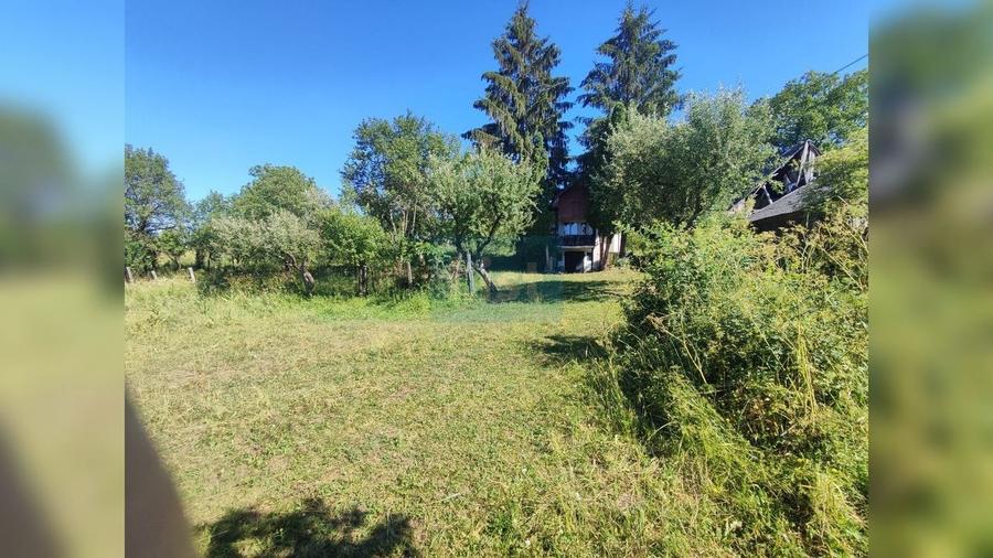 Teren Construcții intravilan de 72000 mp, în Topa Mică