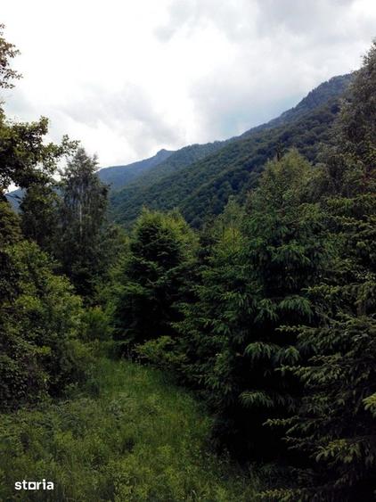 Teren de 5700 mp, în Râu de Mori