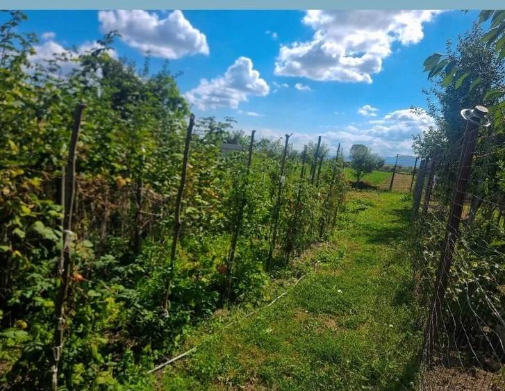 Casă cu 2 camere în Sânpetru