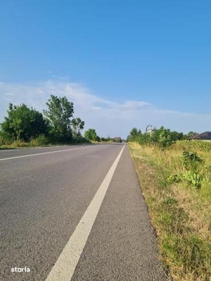 Spațiu comercial, în Albota