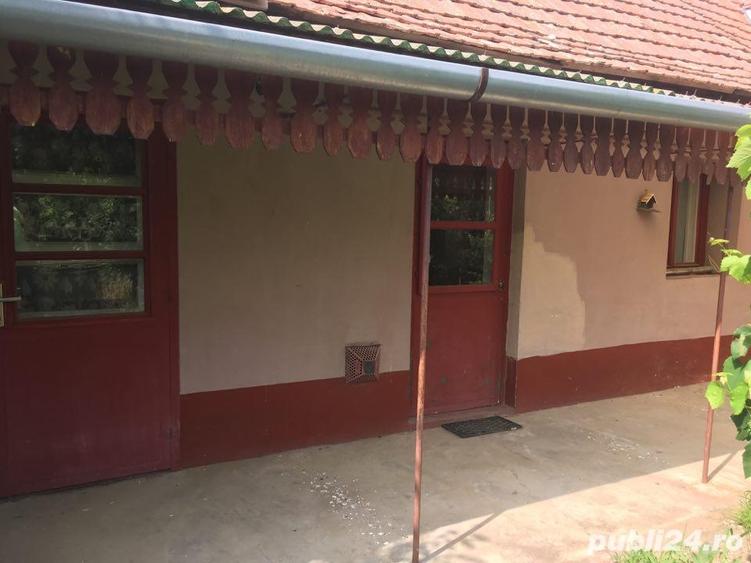 Casă cu 3 camere cu Teren 2538 Mp în Salonta