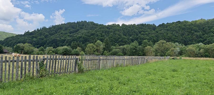 Teren agricol extravilan de 4950 mp, în Vama Buzăului