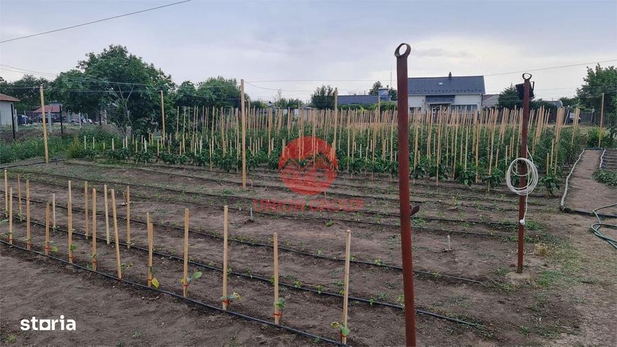 Casă cu 2 camere cu Teren 1711 Mp în Topraisar