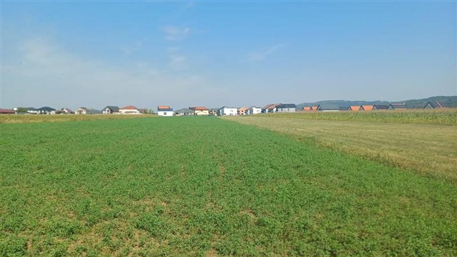 Teren agricol intravilan de 2500 mp, în Periferie