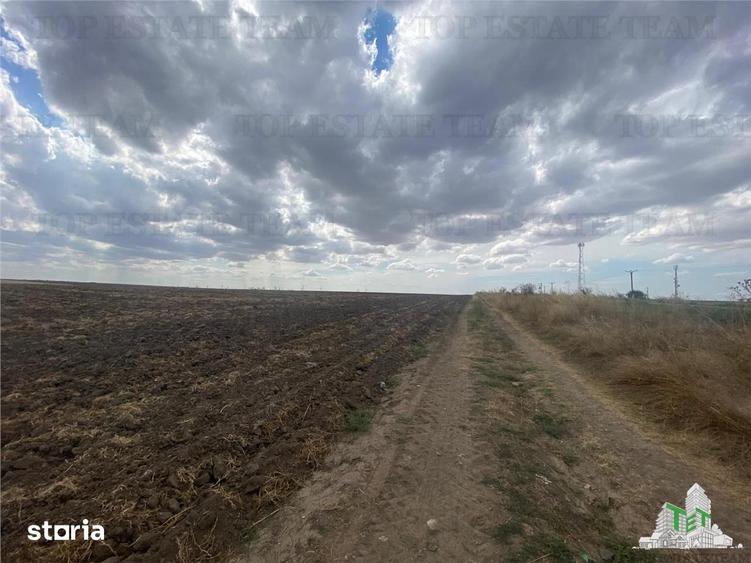 Teren de 24250 mp, în Mihail Kogălniceanu