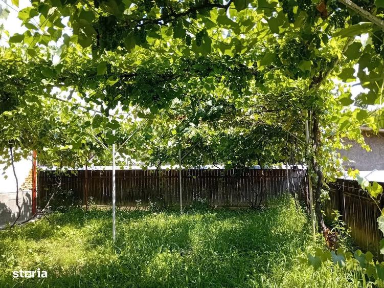 Casă cu 4 camere în Curița