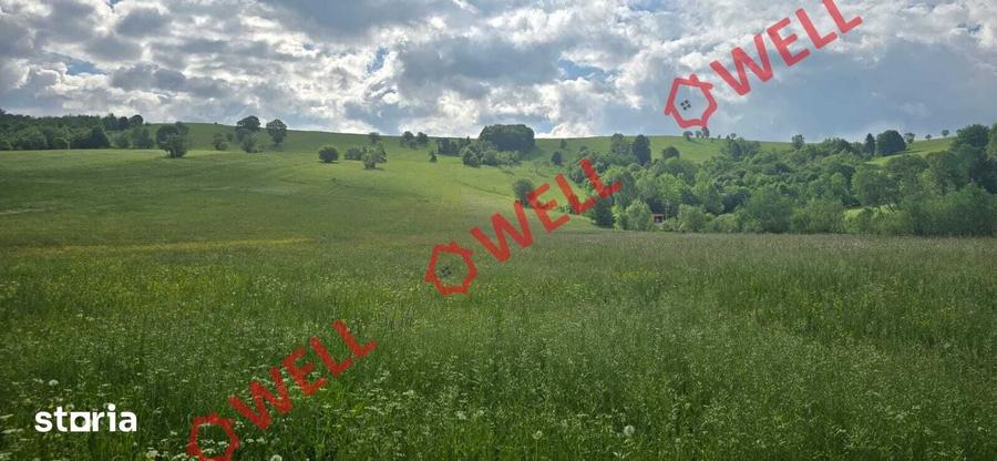 Teren de 4721 mp, în Barcani