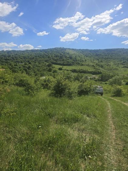 Teren de 765 mp, în Florești