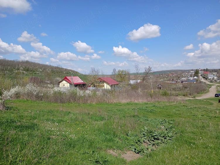 Teren de 1150 mp, în Dămienești