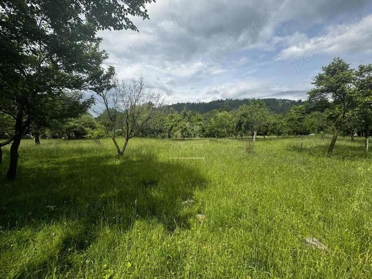 Teren de 4500 mp, în Voinești