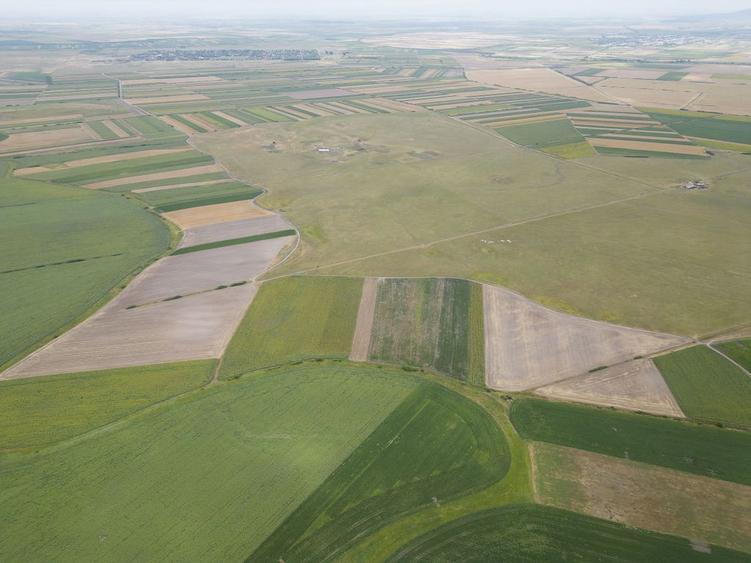 Teren de 400000 mp, în Zărand
