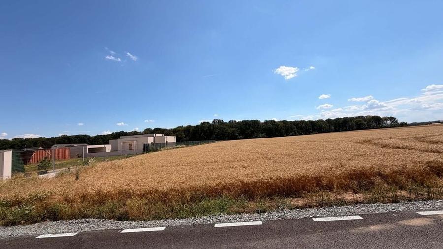 Teren de vamzare 5032 mp Cu deschider in padurea Snagov - 1