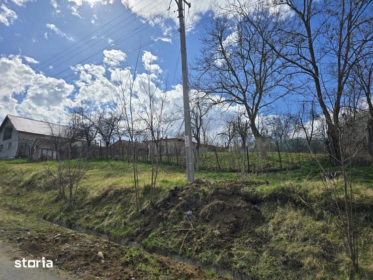 Casă cu 3 camere cu Teren 2876 Mp în Central