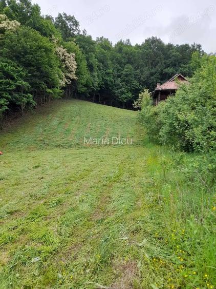 Teren de vanzare 2584 metri patrati,Fedelesoiu acces din principala cu drum privat.