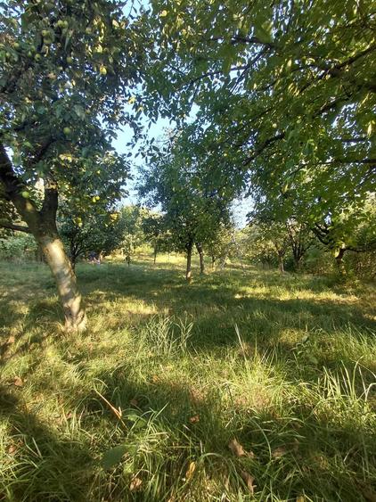 Teren de 1450 mp, în Bungard