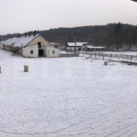 Teren Construcții intravilan de 92545 mp, în Nord-Vest