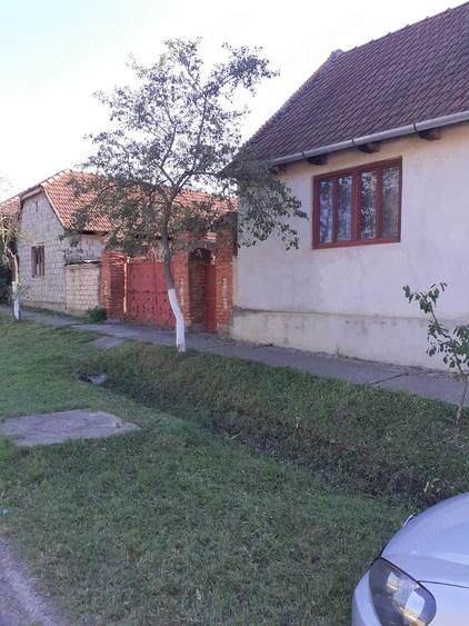 Casă cu Teren 2900 Mp în Central