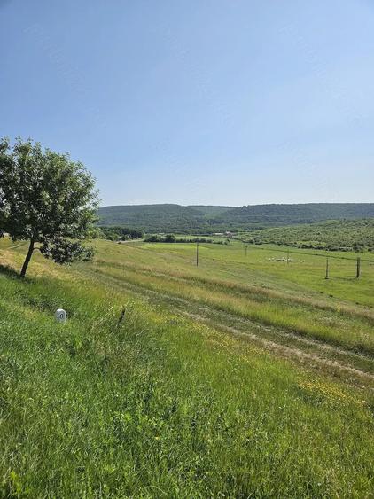 Teren de 7200 mp, în Crețești