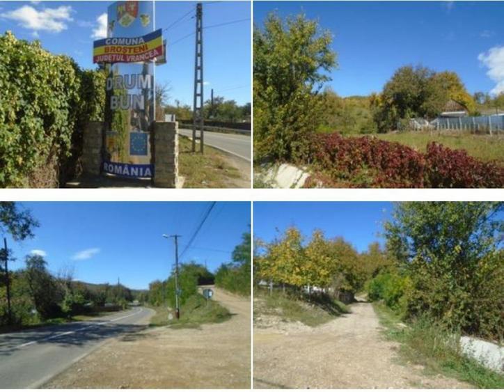 Teren de 1500 mp, în Broșteni
