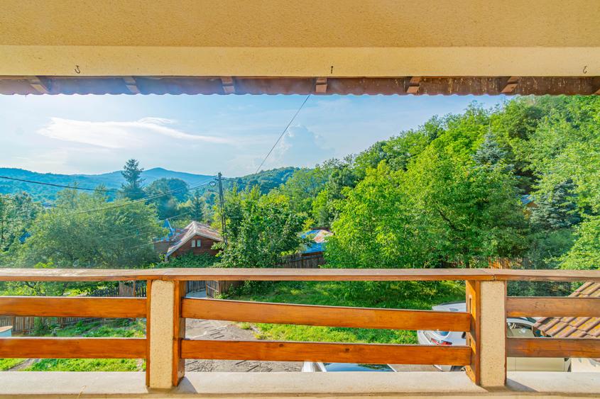 Vila la poalele padurii-Provita de jos - 33