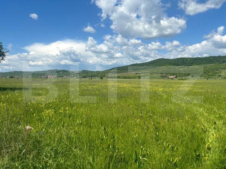 Teren Construcții extravilan de 29000 mp, în Exterior Sud