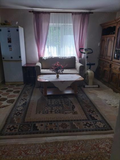 Casă cu 4 camere cu Teren 3500 Mp în Dobra