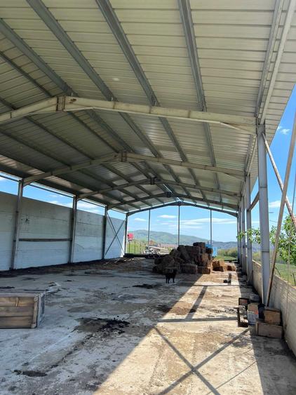 Ferma zootehnica / stana pentru oi si vaci teren 10.000 mp - Maneciu-Pamanteni - 5