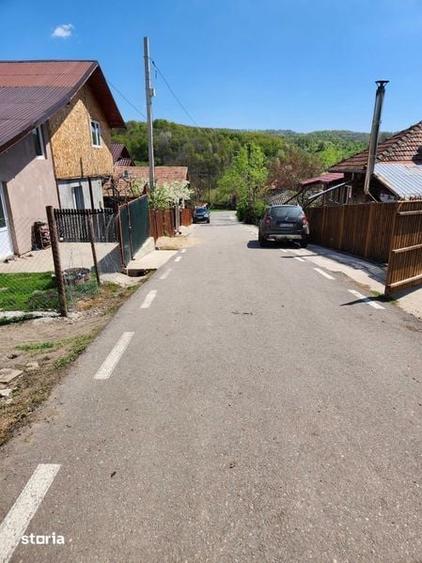 Teren de 16000 mp, în Lipănești