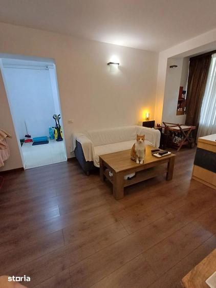 Apartament cu 2 camere semidecomandat în Istria