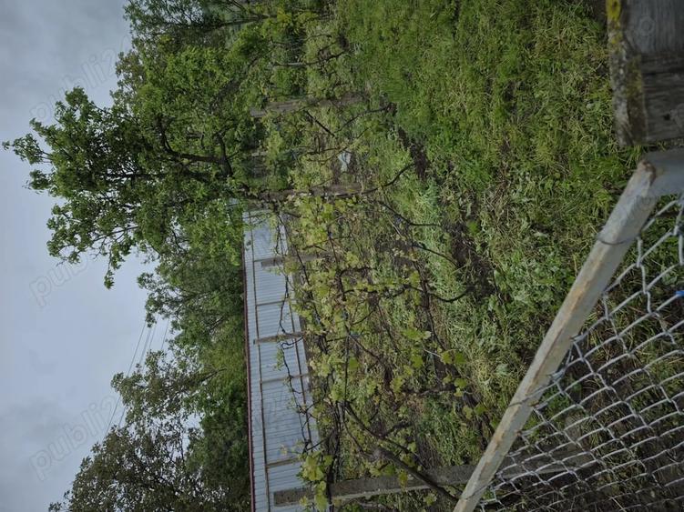 Casă cu 4 camere în Tudora