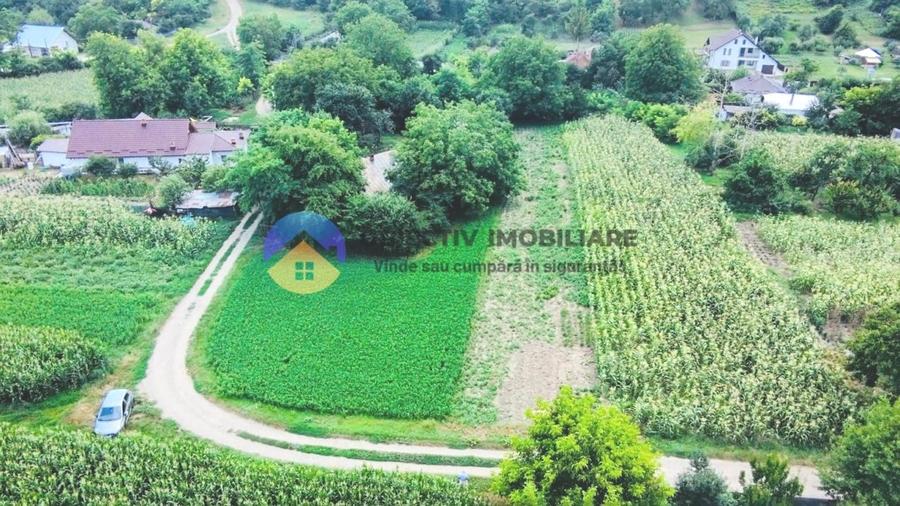 Teren intravilan de 4133 mp, în Boțești