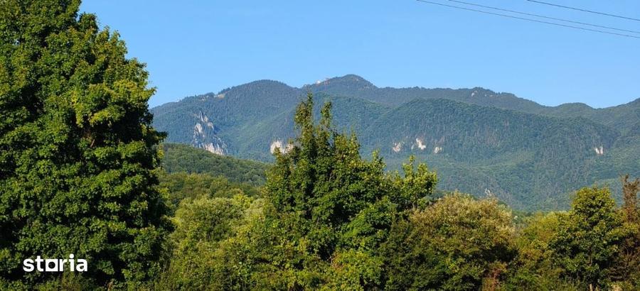 Teren de 12600 mp, în Central
