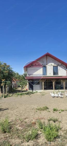Casă cu 4 camere cu Teren 2608 Mp în Săuca